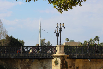 Puente de los Peligros y sardina, Murcia, España
