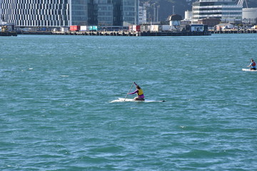 Kayaking in Wellington New Zealand