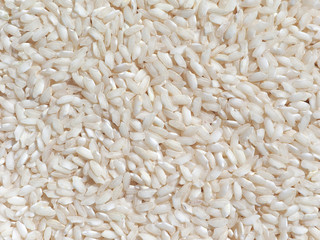 carnaroli rice food