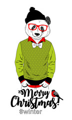 Creative illustration of panda bear in green sweater.
