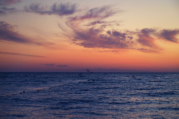 Nature is the best painter