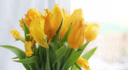 A bouquet of red tulips in a vase on the windowsill. A gift for 