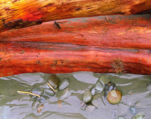 Red Log and Rocks