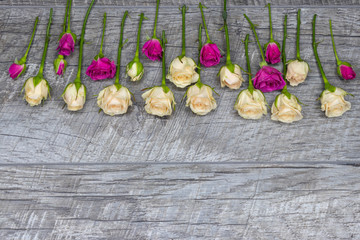 white and red roses lie on a wooden table