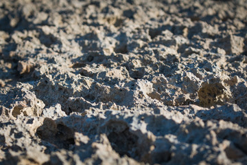 Water Erosion Created Rock Formation Close - Up