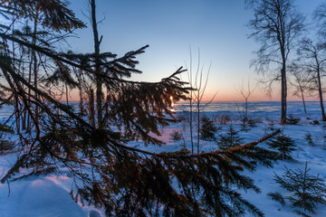 silhouettes of trees against the background of a sun setting in a frozen winter lake 