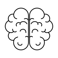 brain human organ icon vector illustration design