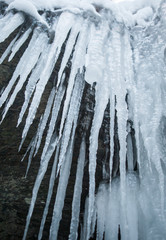 A cluster of icicles near a frozen waterfall in Pennsylvania.  Unique ice formations in nature.