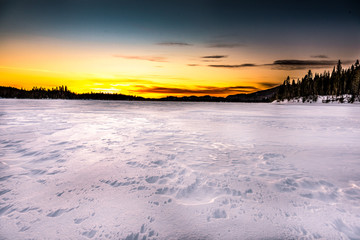 Mordu par le vent d'hiver