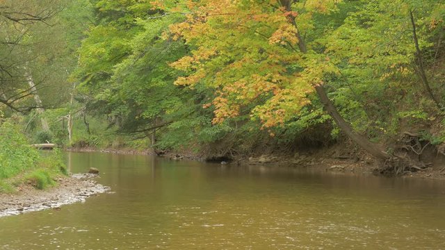 Autumn Trees At Bronte Creek Provincial Park