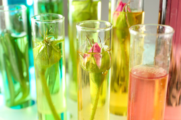 Glass tubes with rose perfume oil, closeup