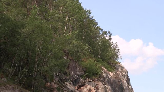 Cloce up of vegetation in Fjord in Norway. Schnittbild der Vegetation eines norwegischen Fjords.