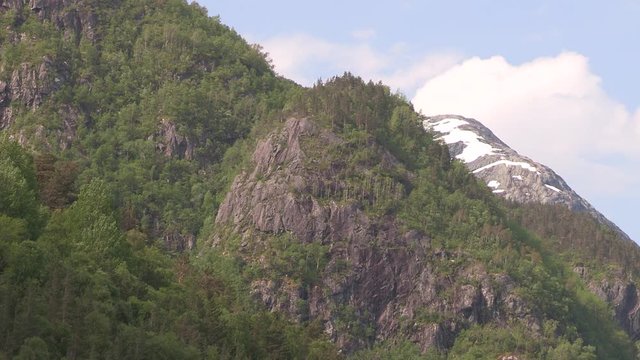 Cloce up of vegetation in Fjord in Norway. Schnittbild der Vegetation eines norwegischen Fjords.