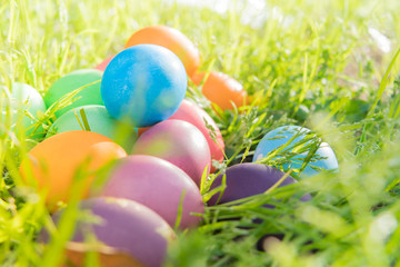 Easter egg ! happy colorful Easter sunday hunt holiday decorations Easter concept backgrounds with copy space