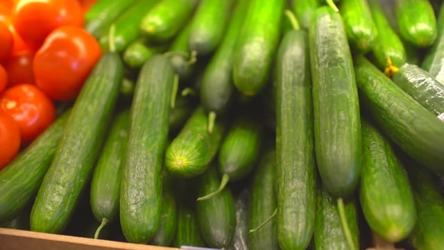 Ripe fresh green cucumbers on sale at the market shelf, closeup. Cucumbers on a market shelf. 4 k Vegetable section in the supermarket. Tomatoes and cucumbers.