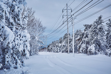 Winter fairytale looking after snowstorm nature beauty