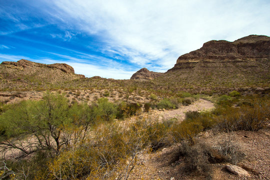 Organ Pipe Cactus National Monument in southern Arizona, showing a portion of Diablo Canyon, a wash that is popular with hikers