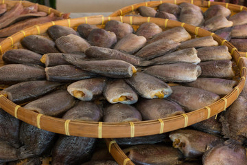 Trichogaster pectoralis fish food fresh closeup
