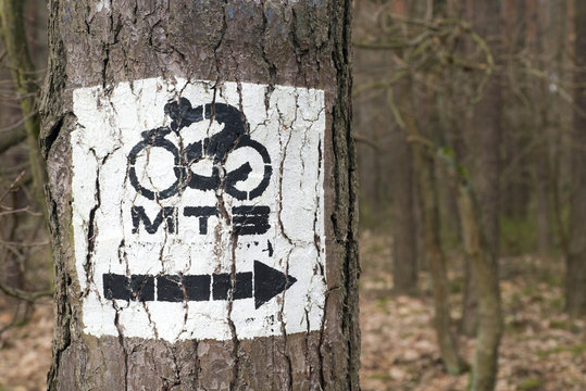 bike sign on tree trunk
