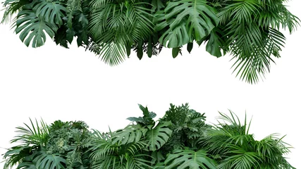Türaufkleber Tropische Blätter Laub Pflanzen Busch Blumenarrangement Natur Hintergrund isoliert auf weißem Hintergrund, Beschneidungspfad enthalten. © Chansom Pantip