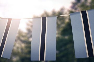Botswana flag pennants