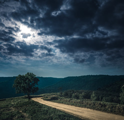Landscape in nature of sky with cloudy and roadway through forest.