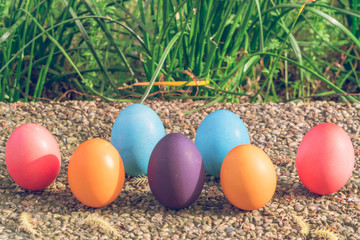 Easter egg ! happy colorful Easter sunday hunt holiday decorations Easter concept backgrounds with copy space - Gain & Noise filter applied