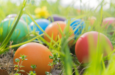 Easter egg ! happy colorful Easter sunday hunt holiday decorations Easter concept backgrounds with copy space