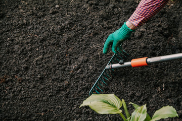 cultivation of land by large garden rake