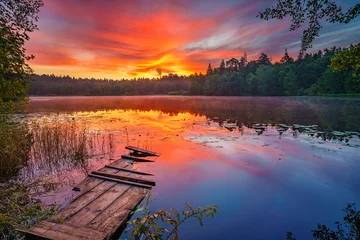 Foto op Canvas Heldere zonsopgang boven bosmeer © sborisov