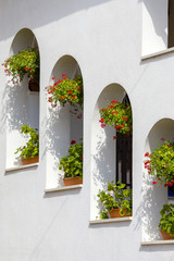 Flowerpots and house plants on the balcony, Hungary