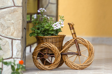 Fototapeta na wymiar Decorative flowerpot in the garden in wicker bicycle. Heviz, Hungary