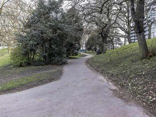 Path in a Park with Grey Naked Tree Branches in London