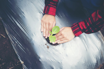 Young woman hand planting young tree on black soil as save world concept