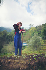 farmer woman .Planting trees in the garden