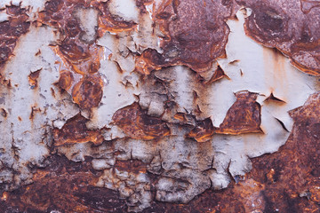 Grunge texture background. Can be use as background texture or wallpaper.