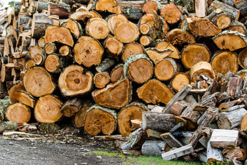 wooden logs stacked up to become firewood