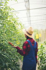 young woman walking in the forest