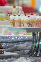 Sweet wedding cupcakes./ Sweet beauty and topping pastel color on wedding cake decoration.