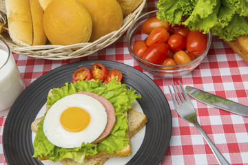 Tasty egg sandwich with breads on the table
