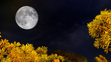 Full moon at night