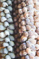 Clean plates, glasses, cup and cutlery on wooden table on grey background