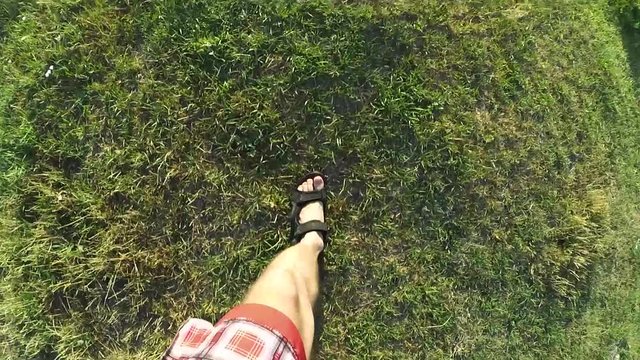 Feet in sandals with legs in shorts walking on earth and green grass in summer - view from above.
