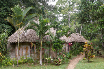 Fototapeta na wymiar Typical farm house in Belize