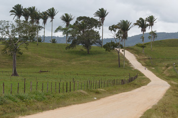 Typical landscape in central Belize