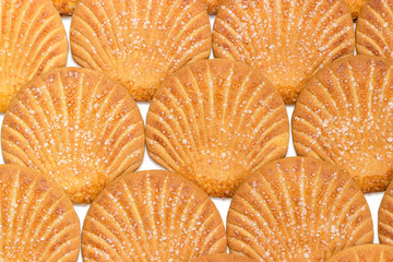 Cookies in form of shells laid out in rows closeup
