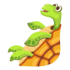 Beautiful turtle icon. Cartoon illustration of beautiful turtle vector icon for web