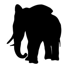 Elephant silhouette