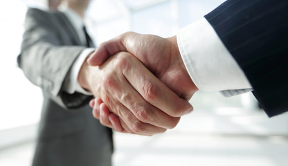 Diverse business male shaking hands.