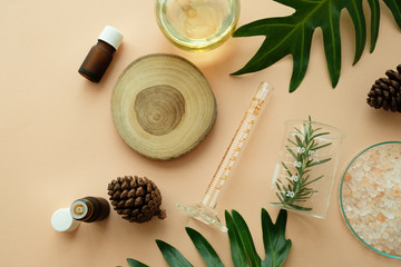 cosmetic skincare nature background flat lay. herbal medicine with herb and green leaves .beauty spa product,top view.